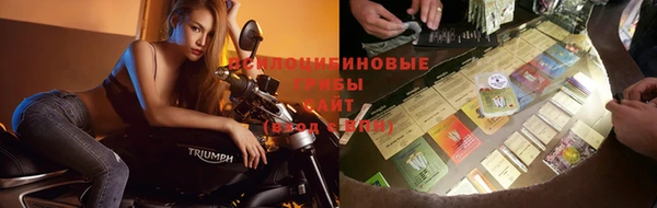 крисы Алексеевка