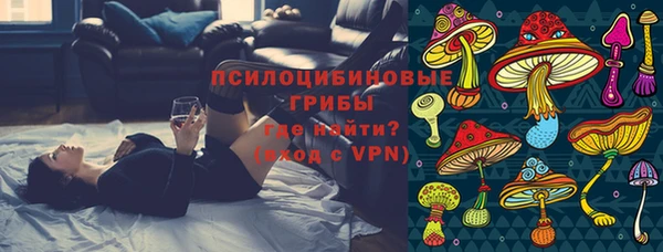 крисы Алексеевка