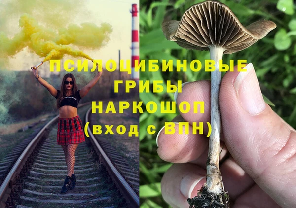 крисы Алексеевка